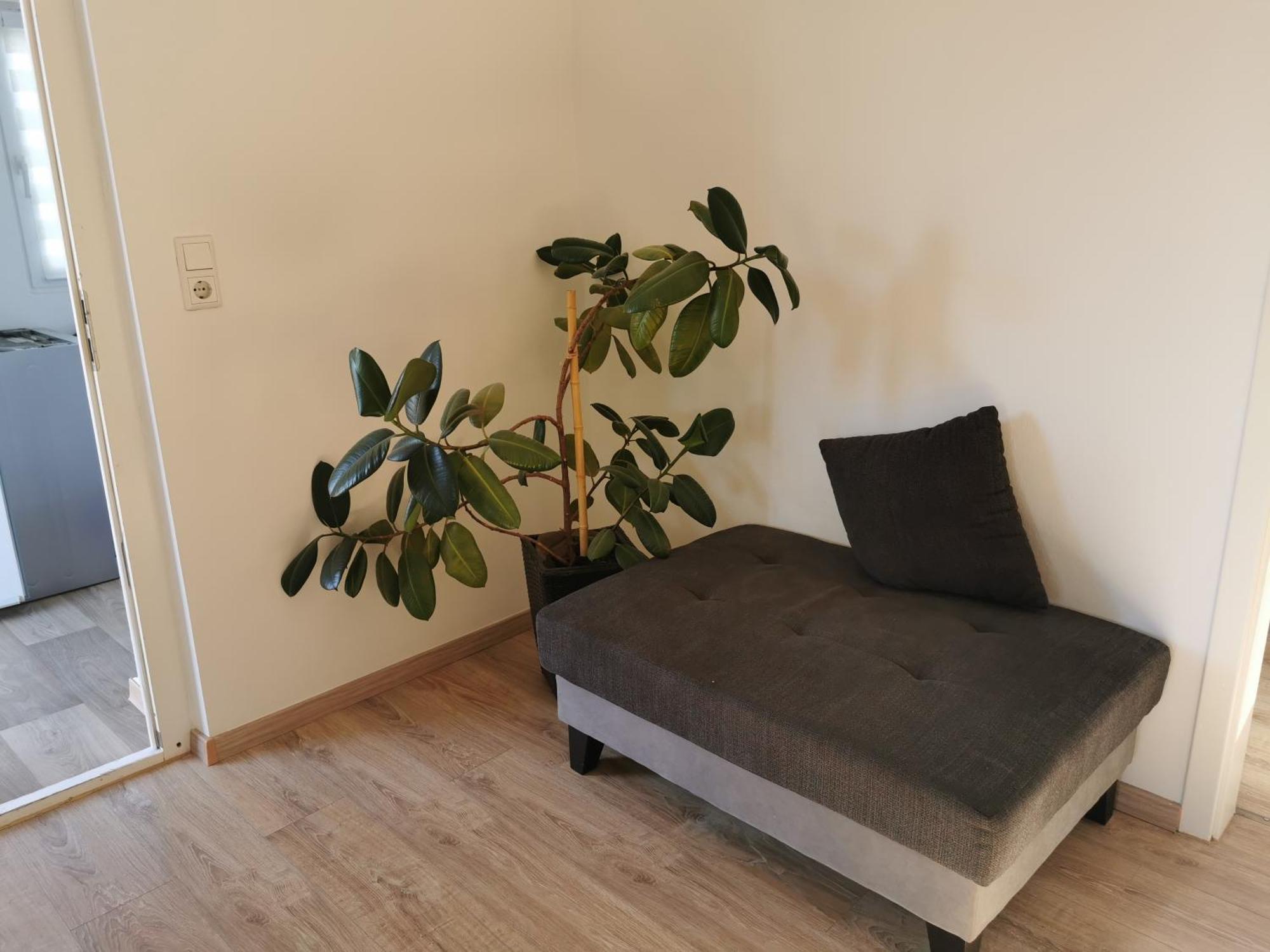 4-Zimmer-Wohnung Mit 6 Betten Bad Oeynhausen Buitenkant foto